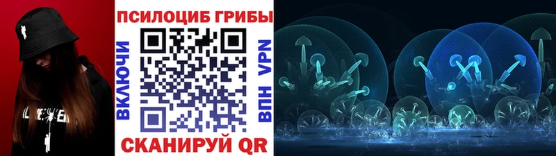 где купить   OMG вход  Галлюциногенные грибы MAGIC MUSHROOMS  Циолковский 